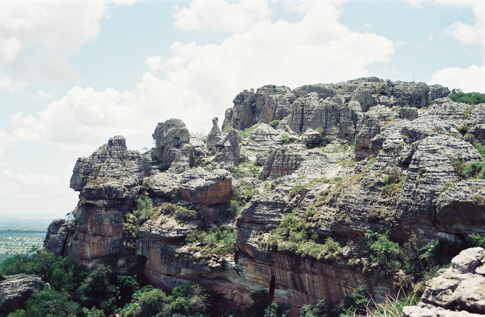 276 - FORMAÇÃO EM ARENITO DA SERRA DO UMBUZEIRO VI.jpg