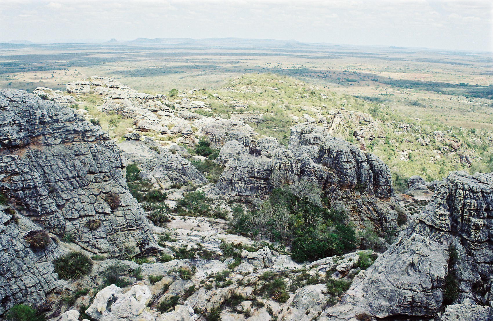 282 - FORMAÇÃO EM ARENITO DA SERRA DO UMBUZEIRO IV.jpg