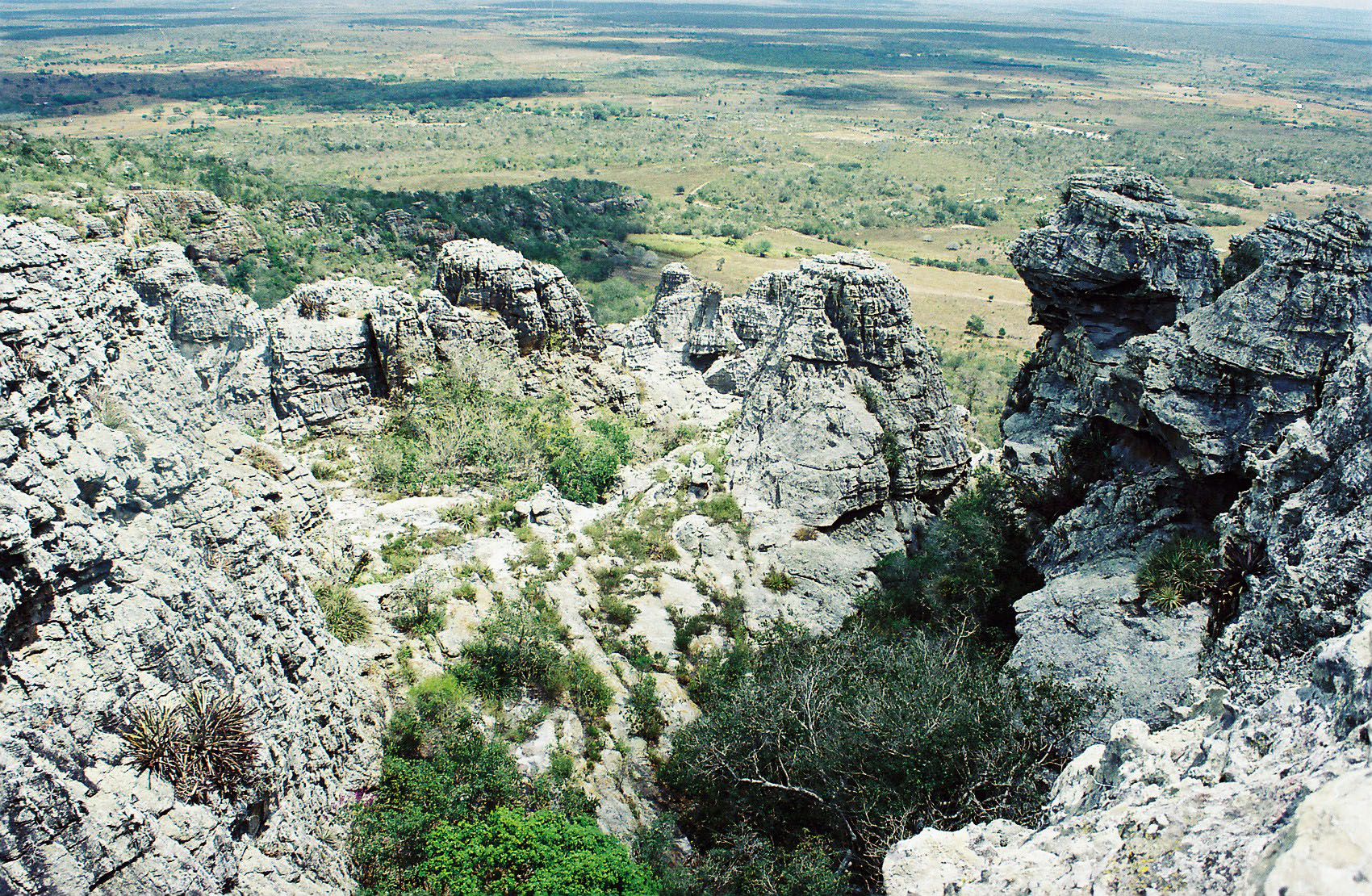 281 - FORMAÇÃO EM ARENITO DA SERRA DO UMBUZEIRO V.jpg