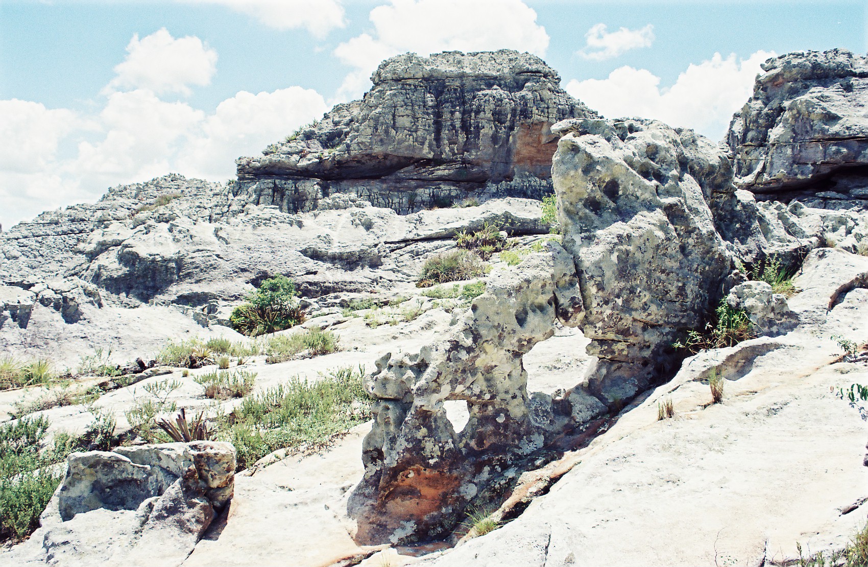 277 - FORMAÇÃO EM ARENITO DA SERRA DO UMBUZEIRO VII.jpg
