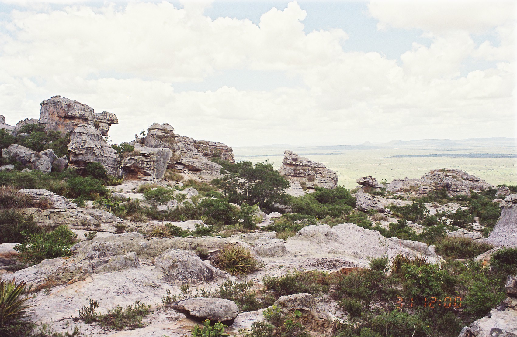 275 - FORMAÇÃO EM ARENITO DA SERRA DO UMBUZEIRO.jpg